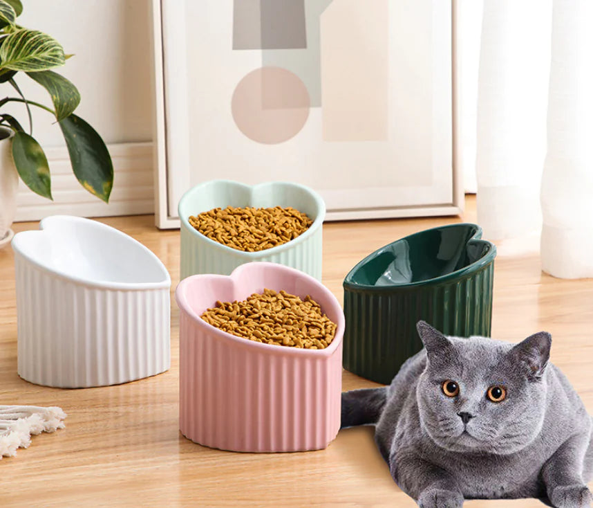 Ceramic Pet Bowl with Slanted Design for Cats